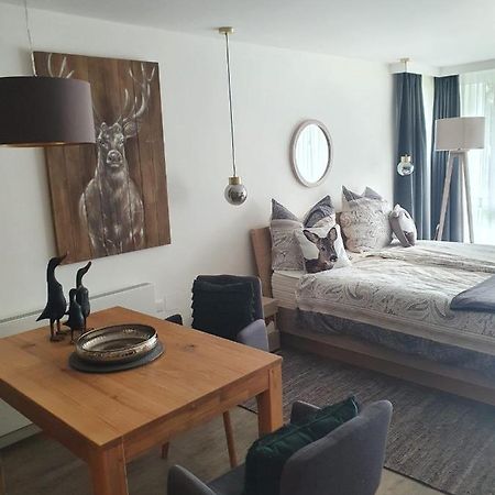 Maurers Schlierseetraum 6, Studio 455 Mit 42 Qm Neu Renoviert, Erdgeschoss Mit Eingezaeunter Terrasse In Ruhiger Lage Am Kirchbichlweg 8 エクステリア 写真